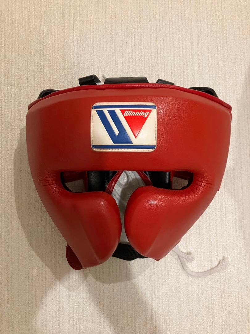 Winning ヘッドギア フルフェイスタイプ レッドL FG-2900