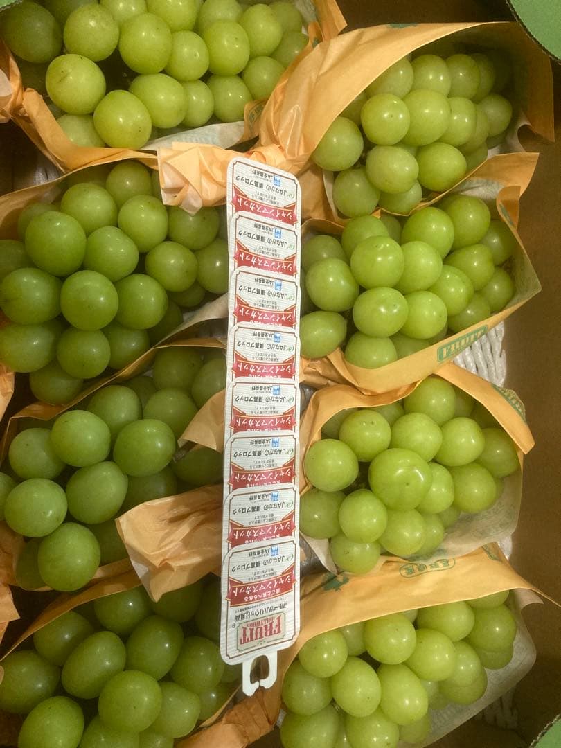 長野県産　シャインマスカット約５キロ