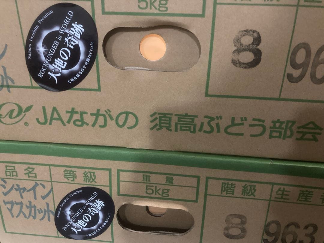 長野県産　シャインマスカット約５キロ