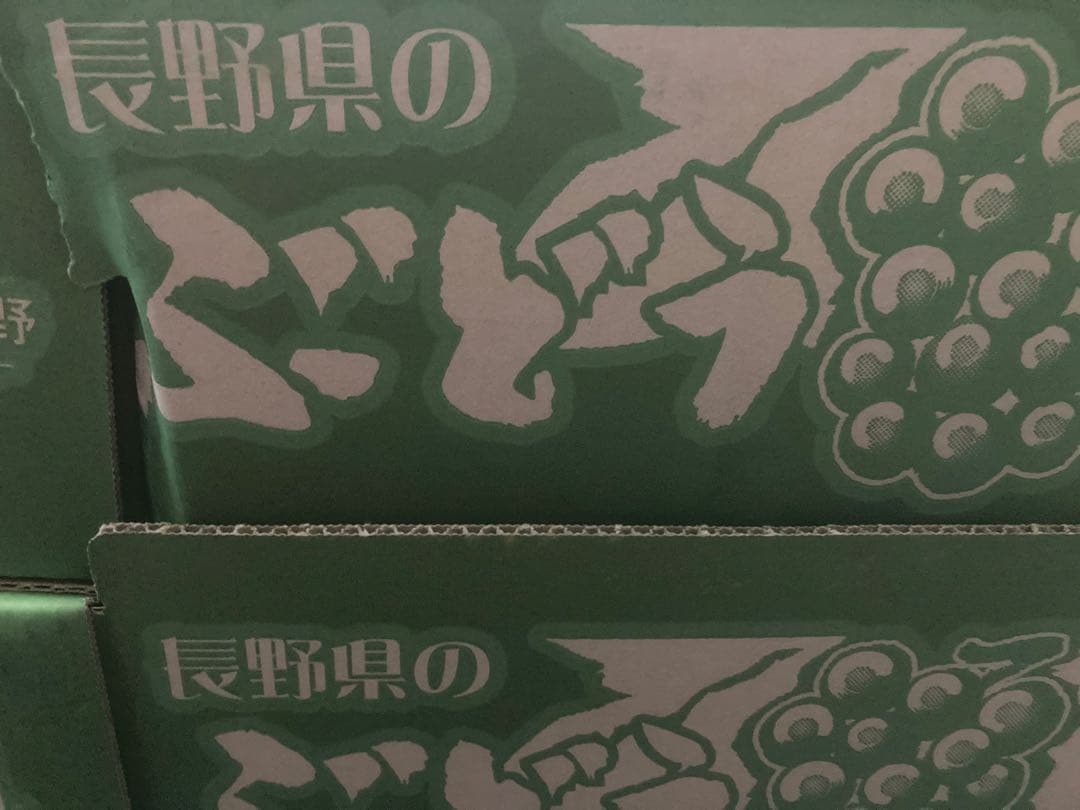 長野県産　シャインマスカット約５キロ