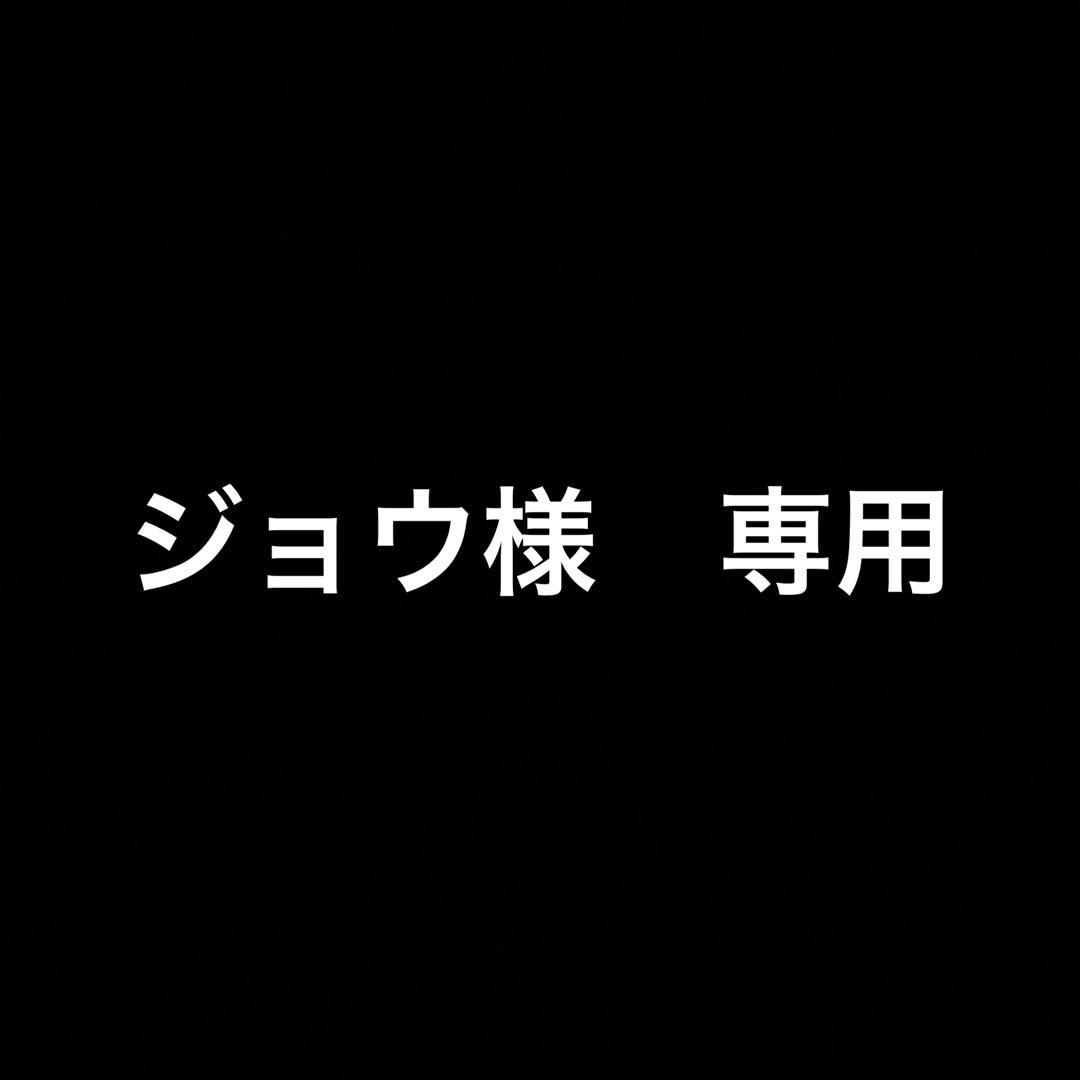 遊戯王 エクソシスター・カルマエル プリシク プリズマ アルバス　アジア　2枚