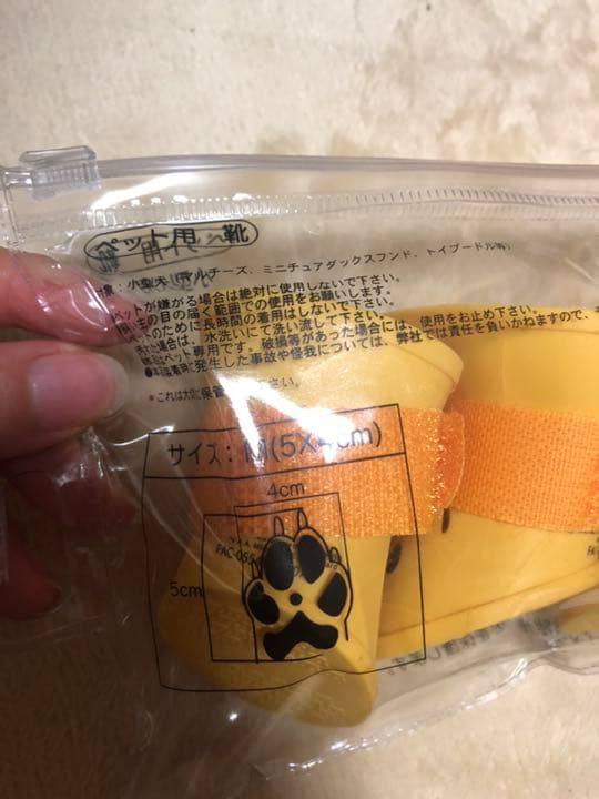 しし丸さん確認用