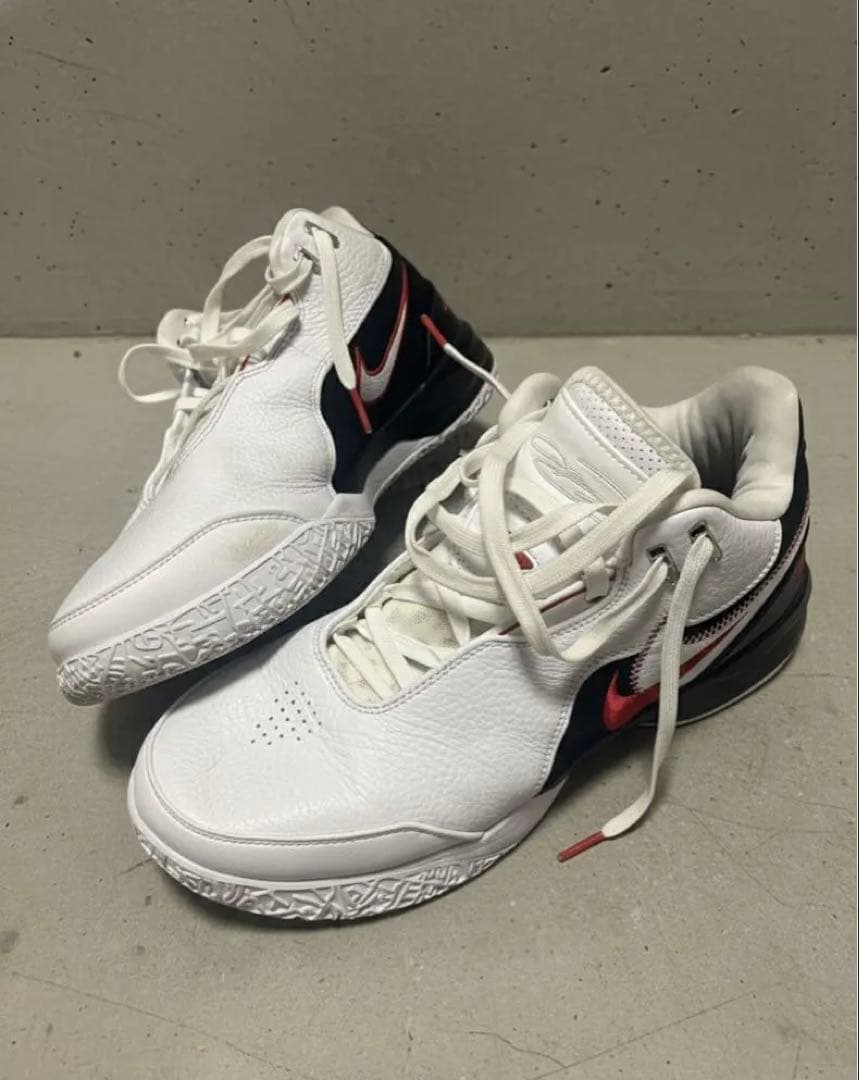 レブロンNXXT GEN AMPD EP 29.0cm