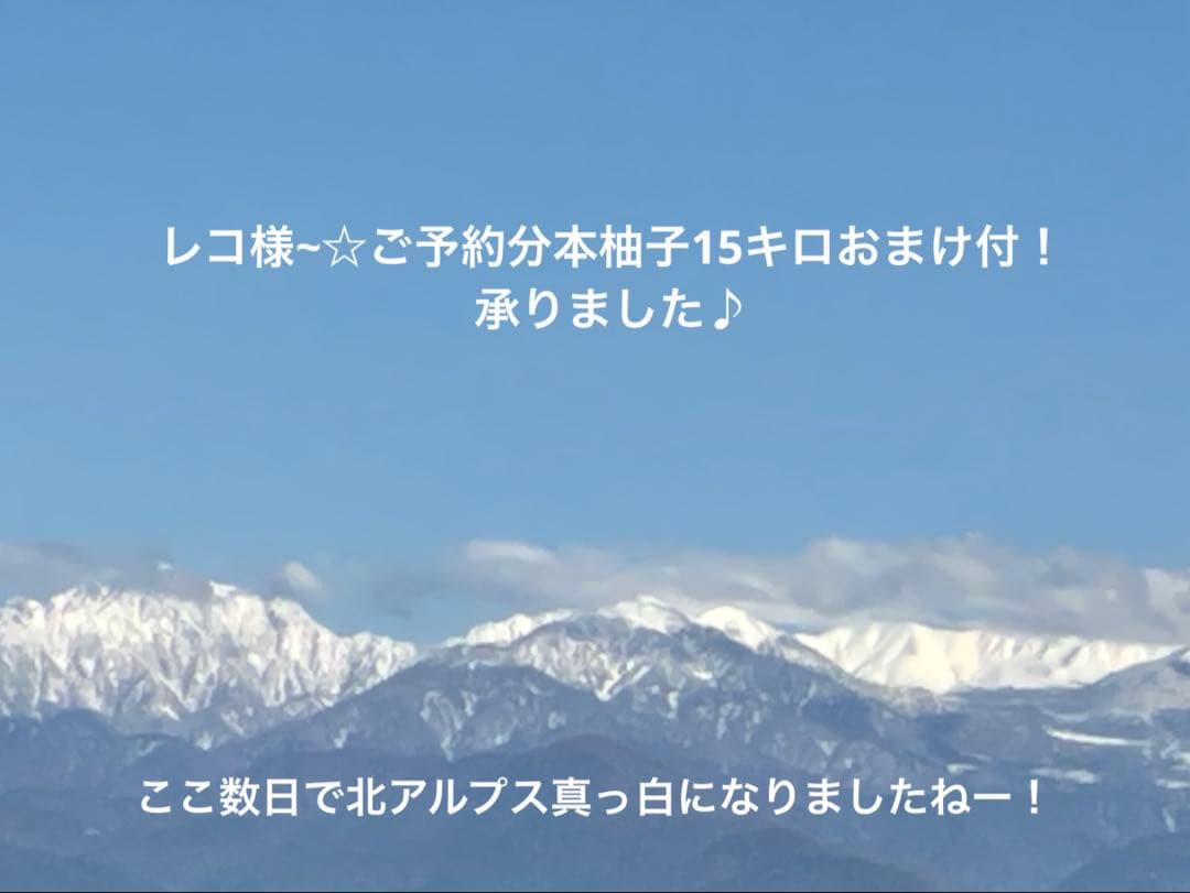 レコ様~☆ご予約分、お母様分本柚子15キロおまけ付！