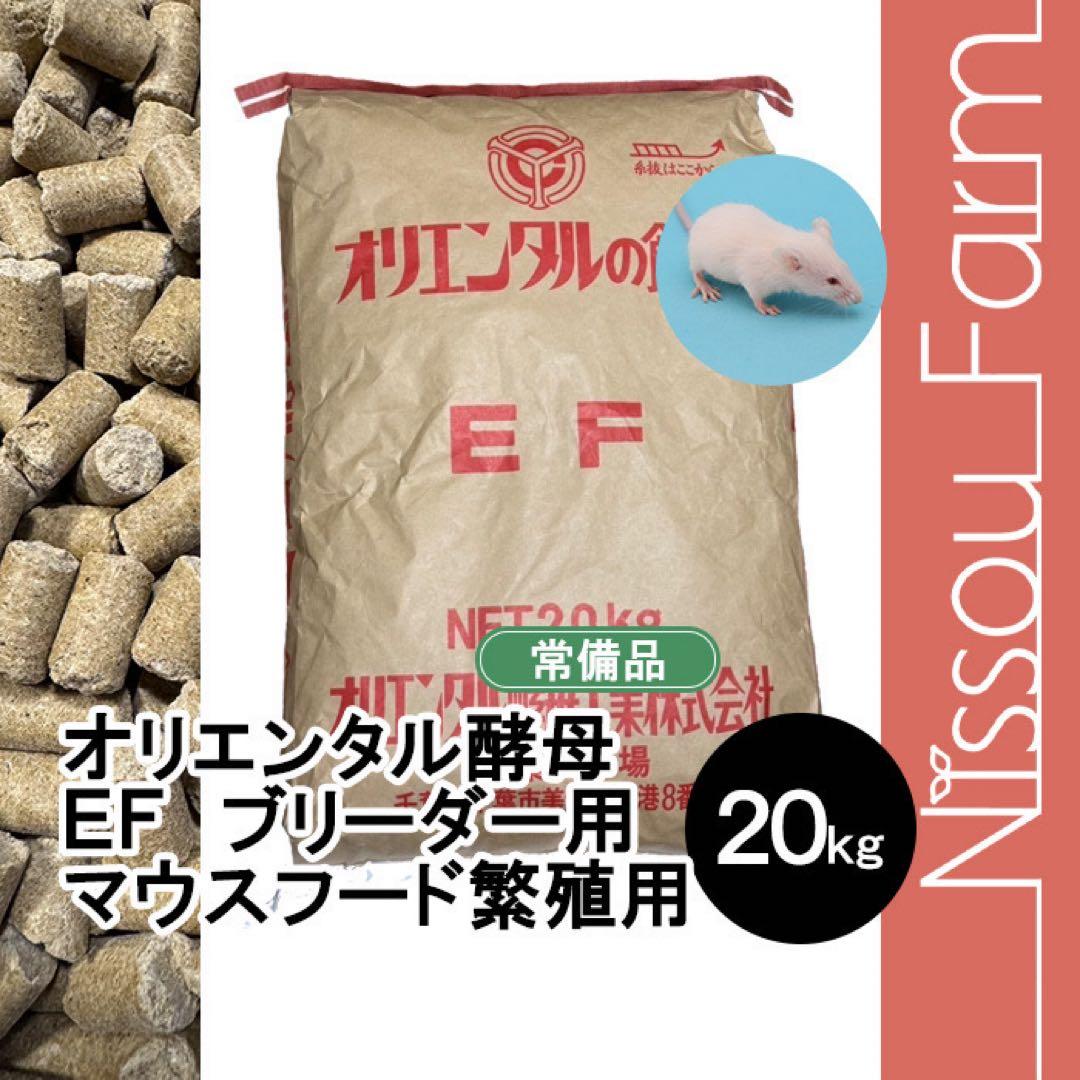 特価　オリエンタル酵母　EF 20kg マウス　ブリーダーフード　送料込み