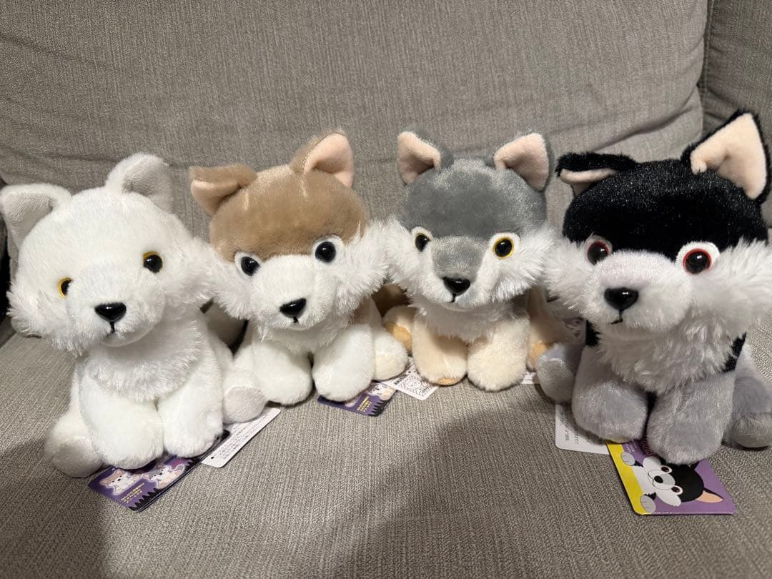 【新品】【4匹コンプリート】もふっとオオカミミステリアス　ぬいぐるみ　アミューズ