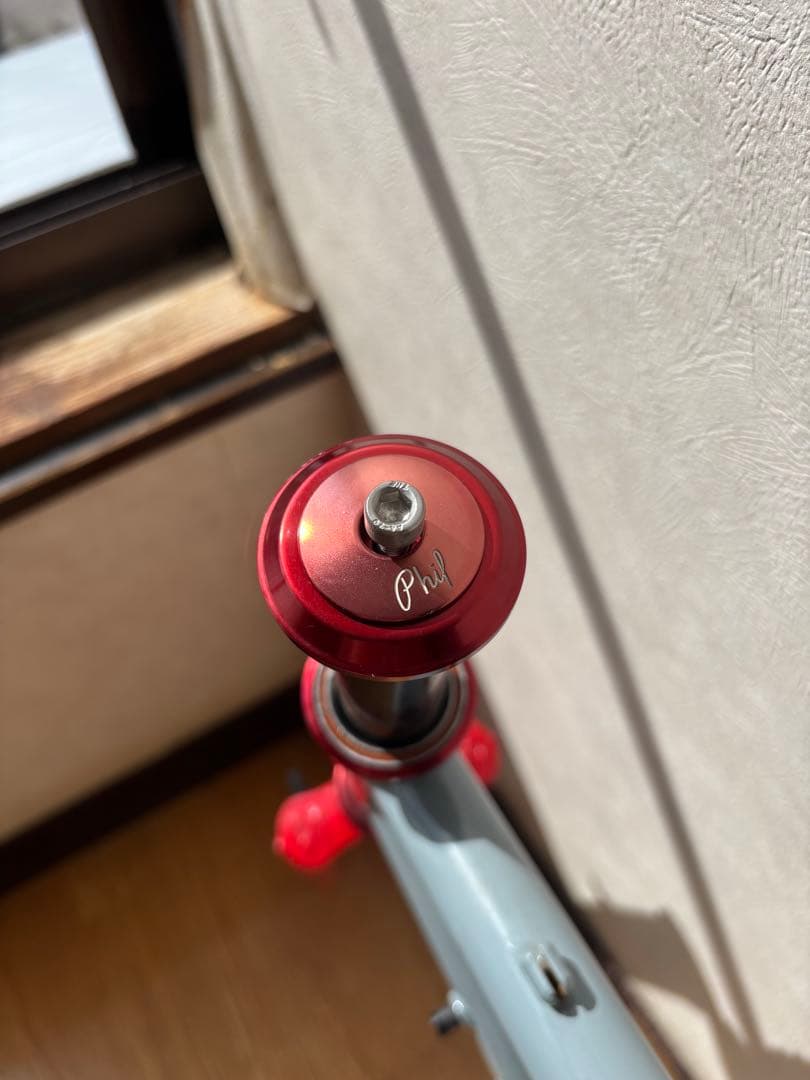 SURLY CROSS-CHECK 56 クロスチェック　philwoodヘッド