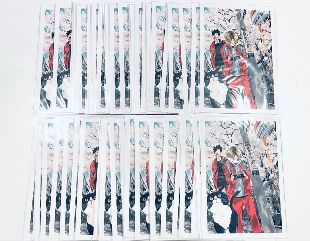 ハイキュー ポストカード 原画展 春の3匹猫 50枚セット