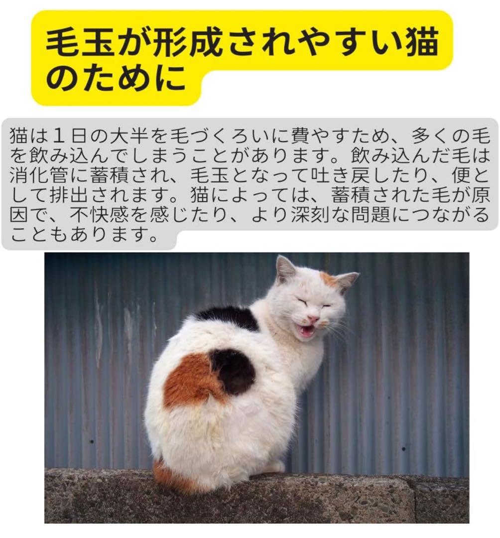 ロイヤルカナン ヘアボール ケア（毛玉が気になる猫用）成猫用 2kg × 2袋