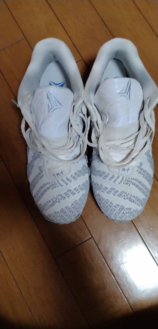 シューズ(男性用) Nike Ja 3 Light Show 27.5cm