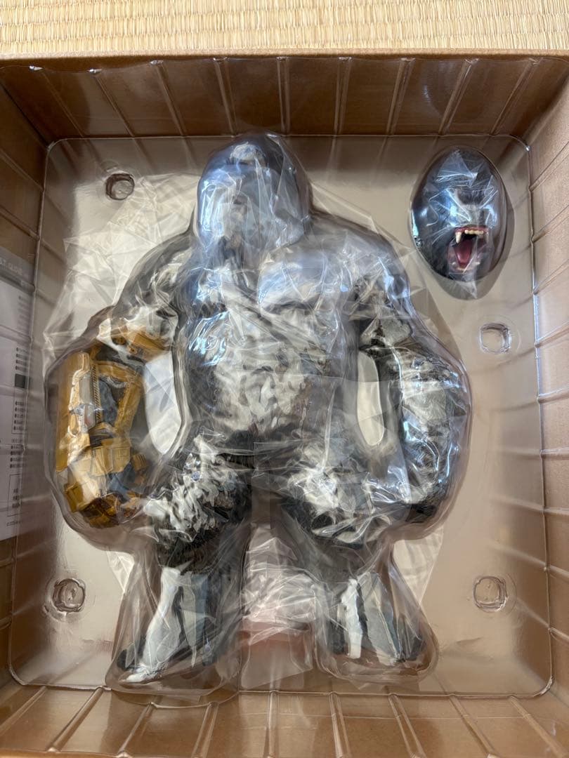 東宝大怪獣シリーズ　コング「KONG (2024) B.E.A.S.T