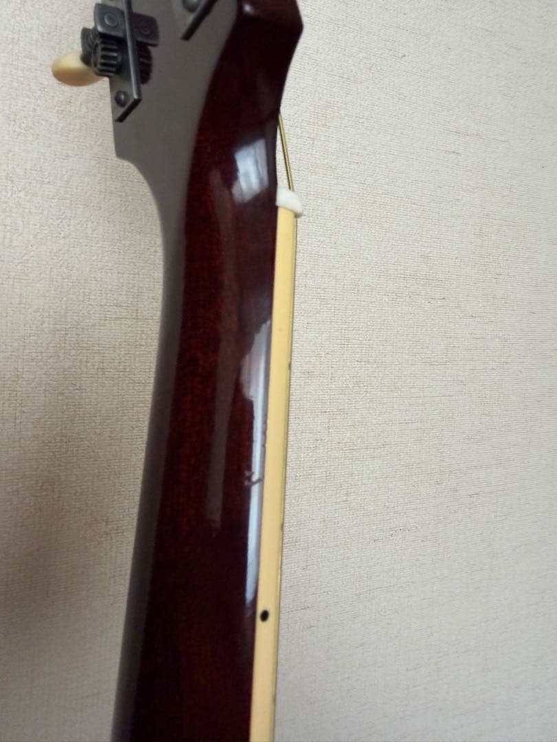 Stringphonic LeRoy Oval ストリングフォニック