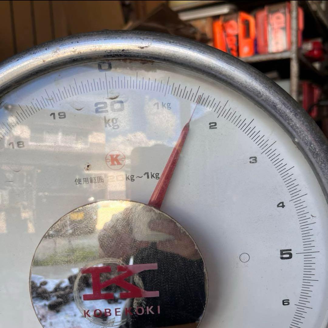 天然香茸‼️広島産　1.5kg 10月12日採りたて　コウタケ　香茸　松茸③