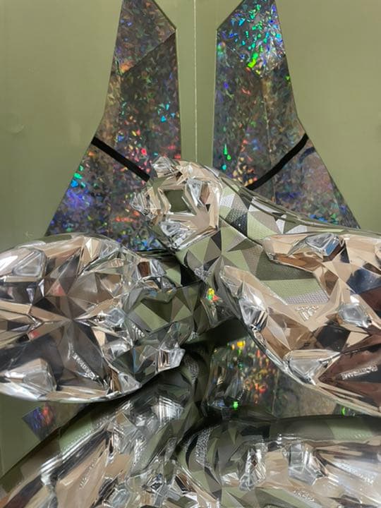 プレデター　スワロフスキー　エッジ　クリスタル+ FG