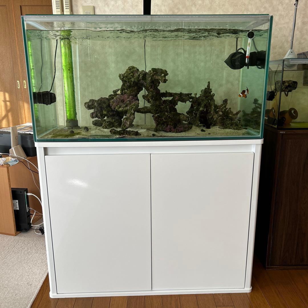海水魚　オーバーフロー水槽一式　引き取り限定