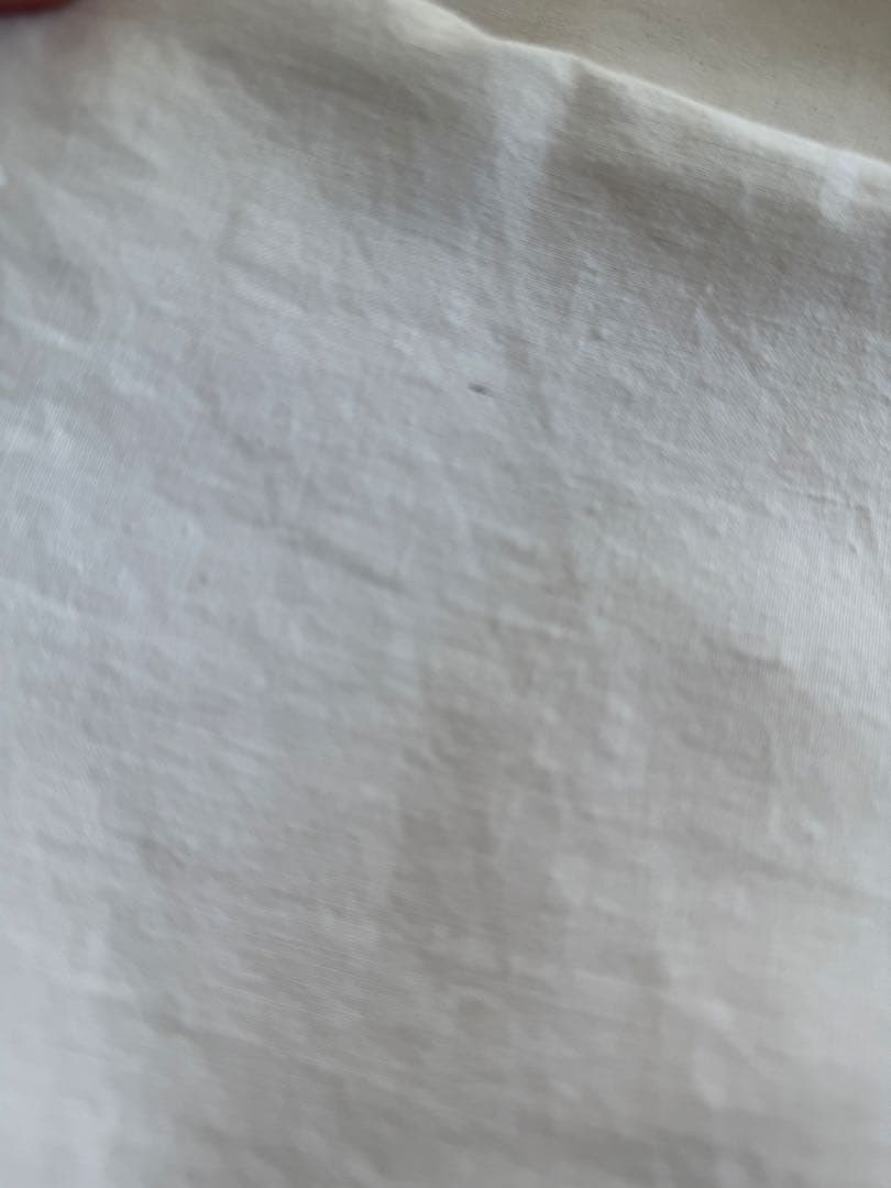 SALE❣️レア♡フランスアンティークஐ花刺繍のホワイトカーテンஐ⋆大判