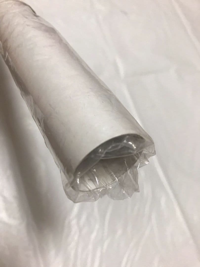 魔法使いの嫁 まほ嫁 直筆サイン入りポスター 種崎敦美 羽鳥智世