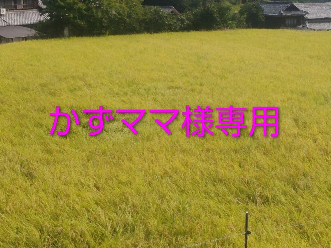 かずママ　コシヒカリ23キロ