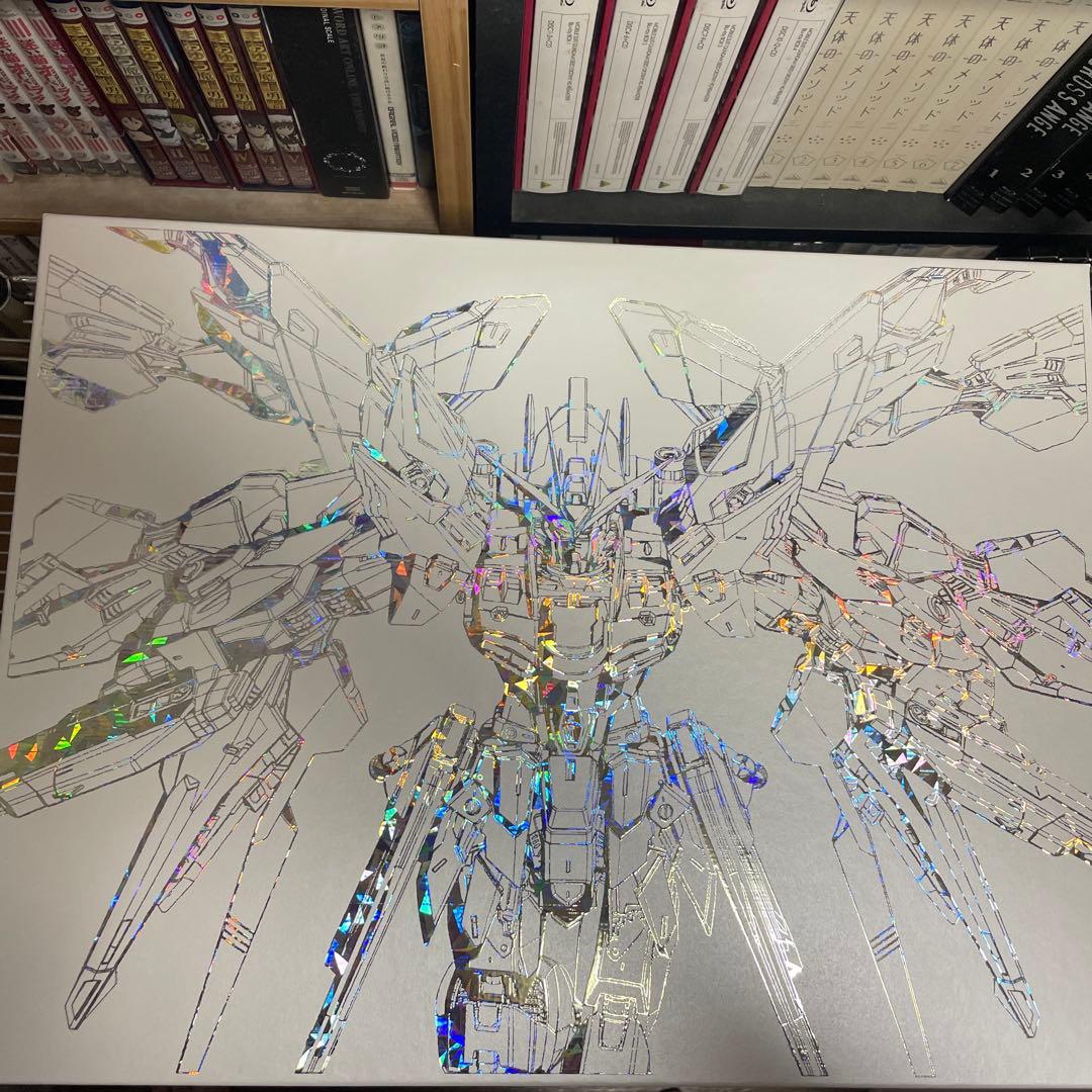 MGEX ストライクフリーダムガンダム twilightcoating 未開封品