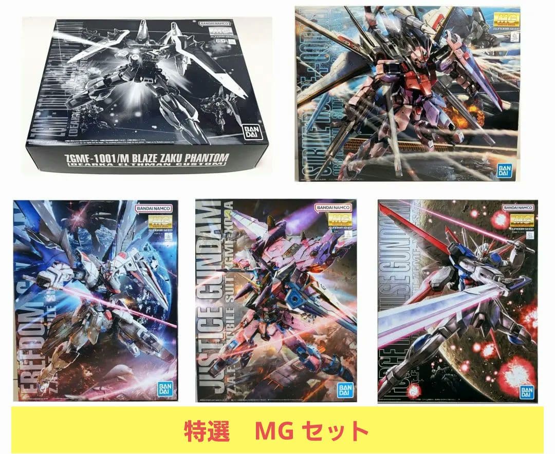 MG 1/100 ブレイズザクファントム (ディアッカ・エルスマン専用機)　他