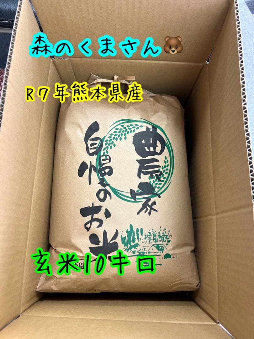 熊本県産 玄米 10kg森のくまさん！！
