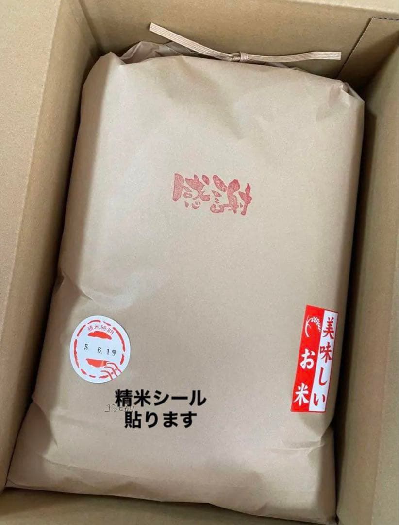 兵庫県産コシヒカリ 白米 10kg コウノトリ米 お米10キロ