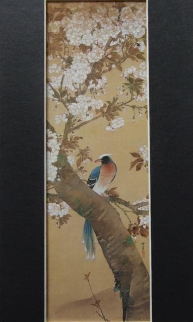 河鍋暁翠、【八重桜と鳥】、希少画集画より、状態良好、新品高級額装付