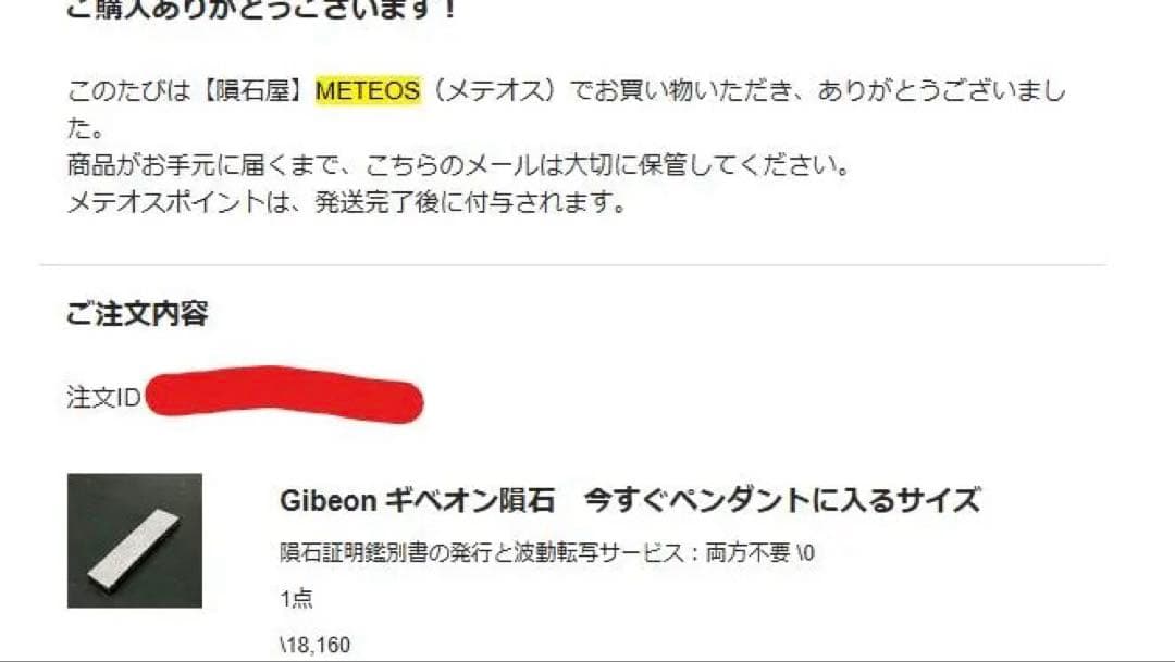 ギベオン隕石 切り出し エッチング加工無し 光沢仕上げ 約8.5g