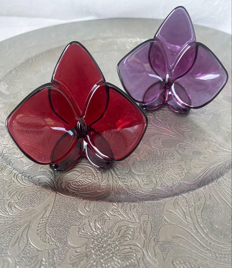 バカラ　オーキッド　パープル