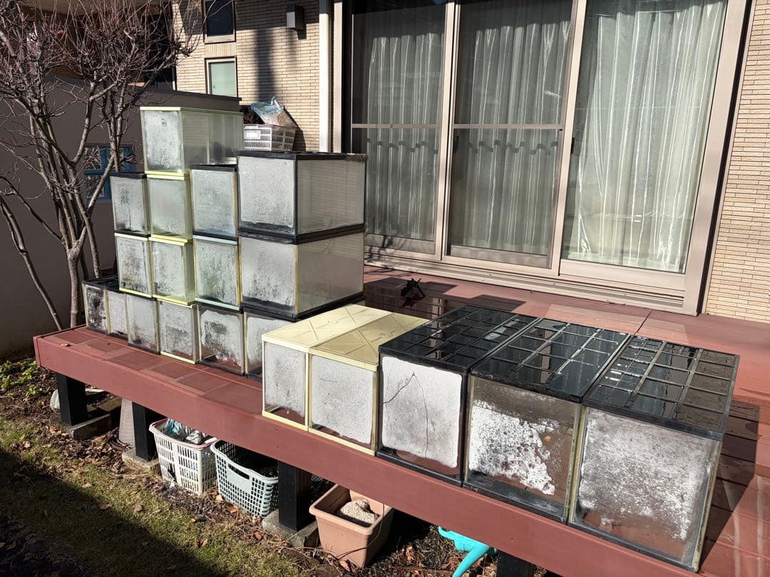 ガラス製飼育ケージ 複数セット(引取限定)