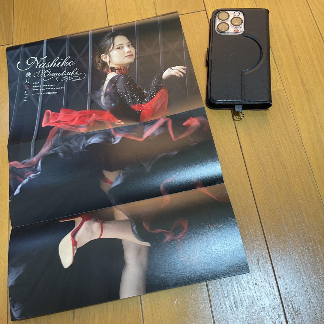 一時値下げ　桃月なしこ　両面ポスター6点、切り抜き