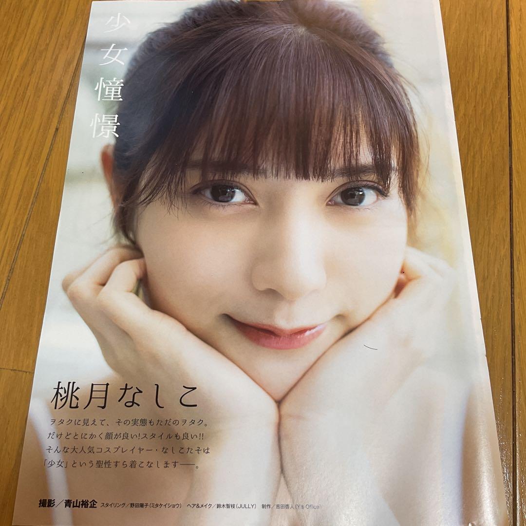 一時値下げ　桃月なしこ　両面ポスター6点、切り抜き