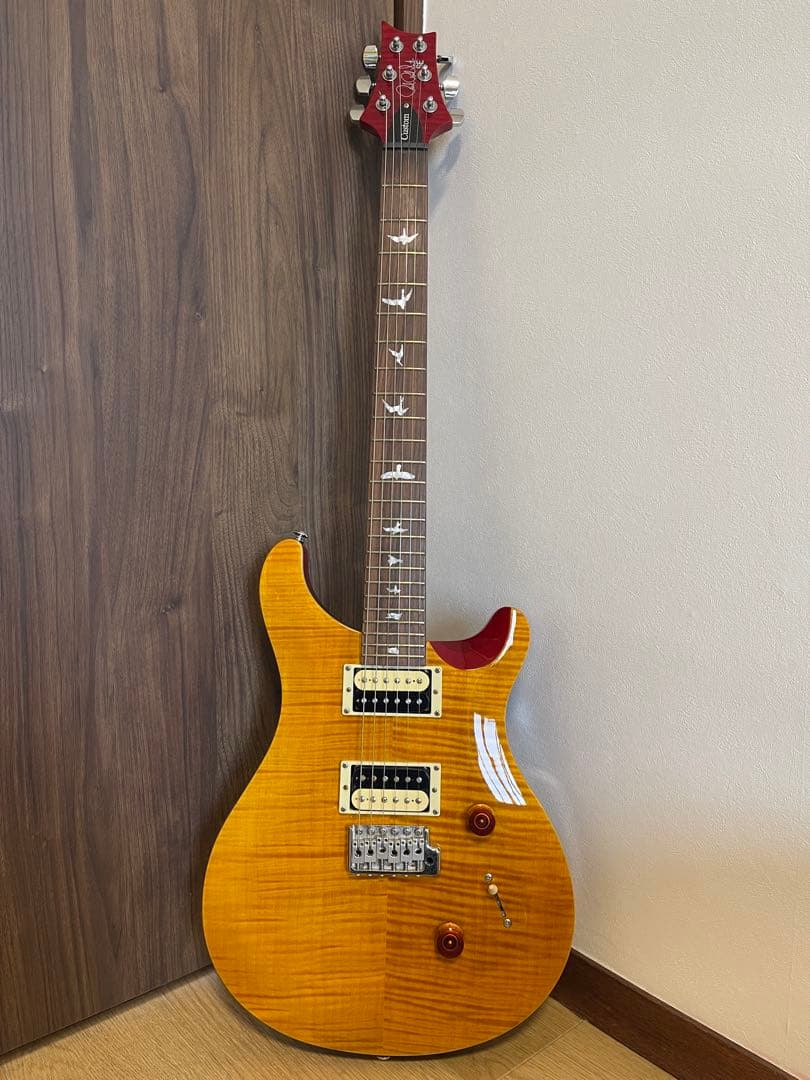 PRS(Paul Reed Smith) ポールリードスミス SE エレキギター