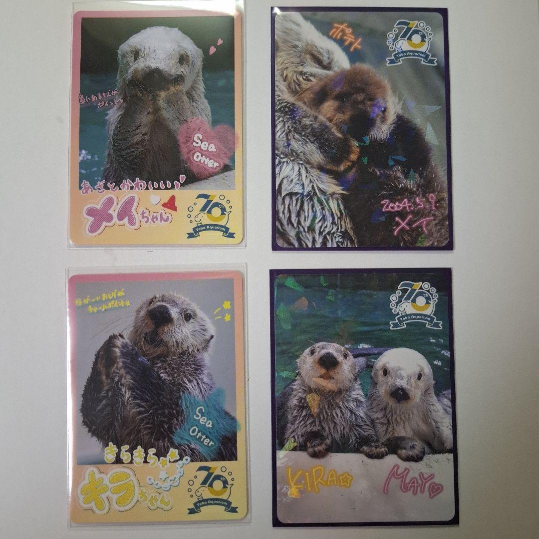 鳥羽水族館　70周年記念コレカ　レア2枚ノーマル2枚メイ☆キラ