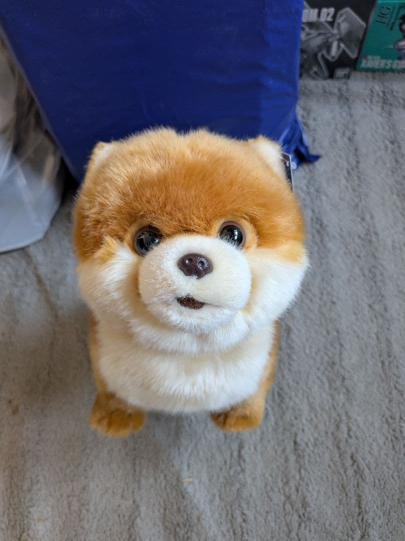 ((激レア))櫻坂46 しかくに