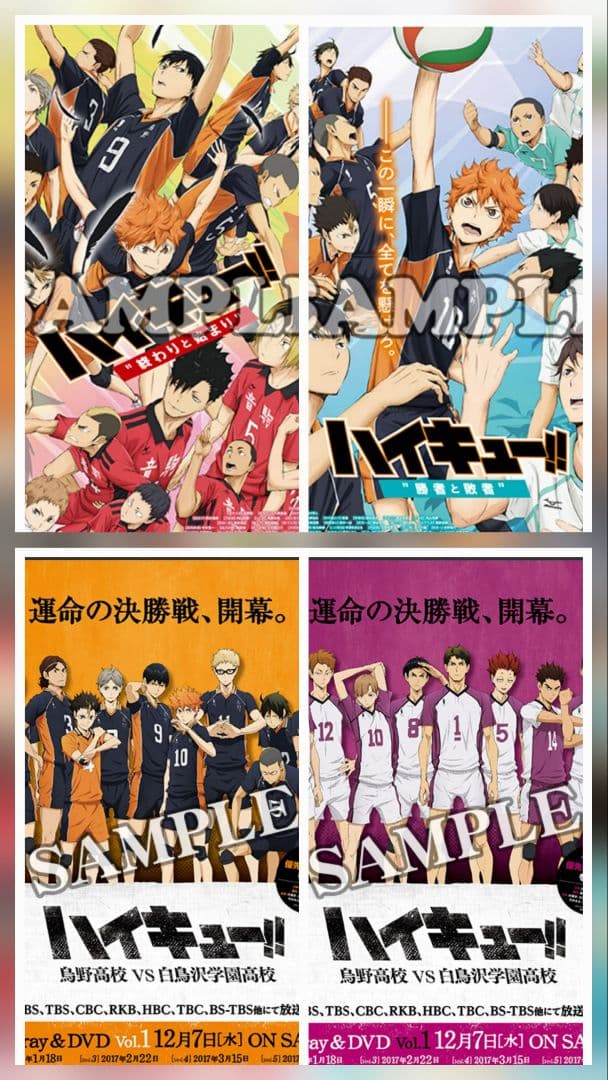 ハイキュー!!　Ｂ2劇場宣伝ポスター　アニメイト特典　激レア　希少　劇場版