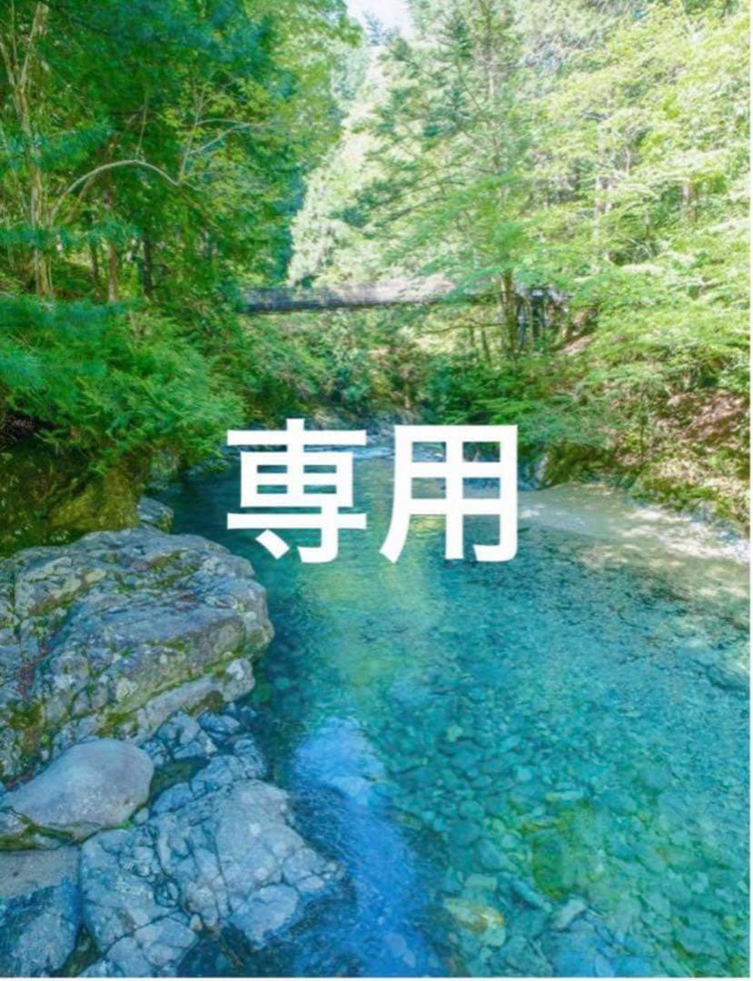 専用 武将印 御城印 関ヶ原古戦場記念館１周年記念 東軍10武将セット 追加あり