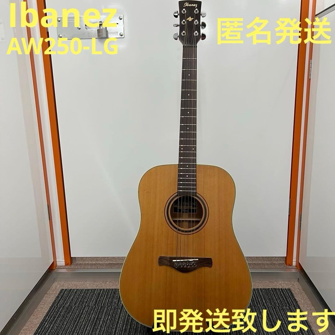 即発送 Ibanez Artwood AW250-LG