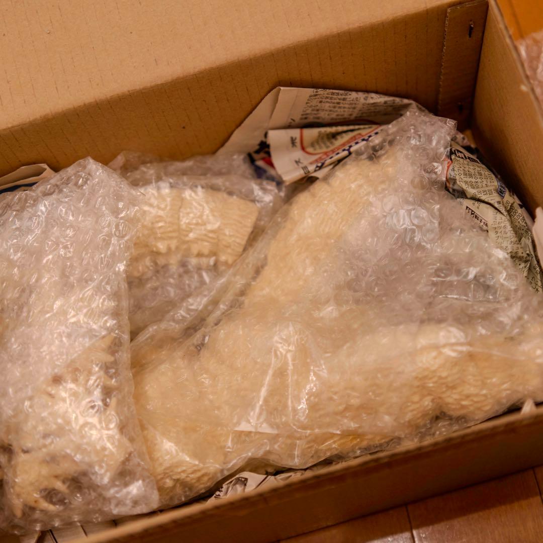 浅井造型 ゴジラの逆襲 大阪蹂躙 The Kaiju Freaks 30cm