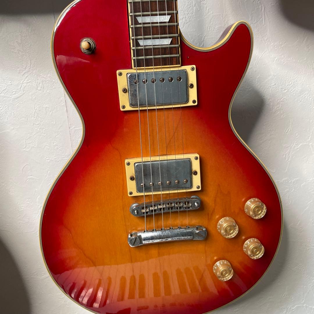 Maison レスポール　サンバースト