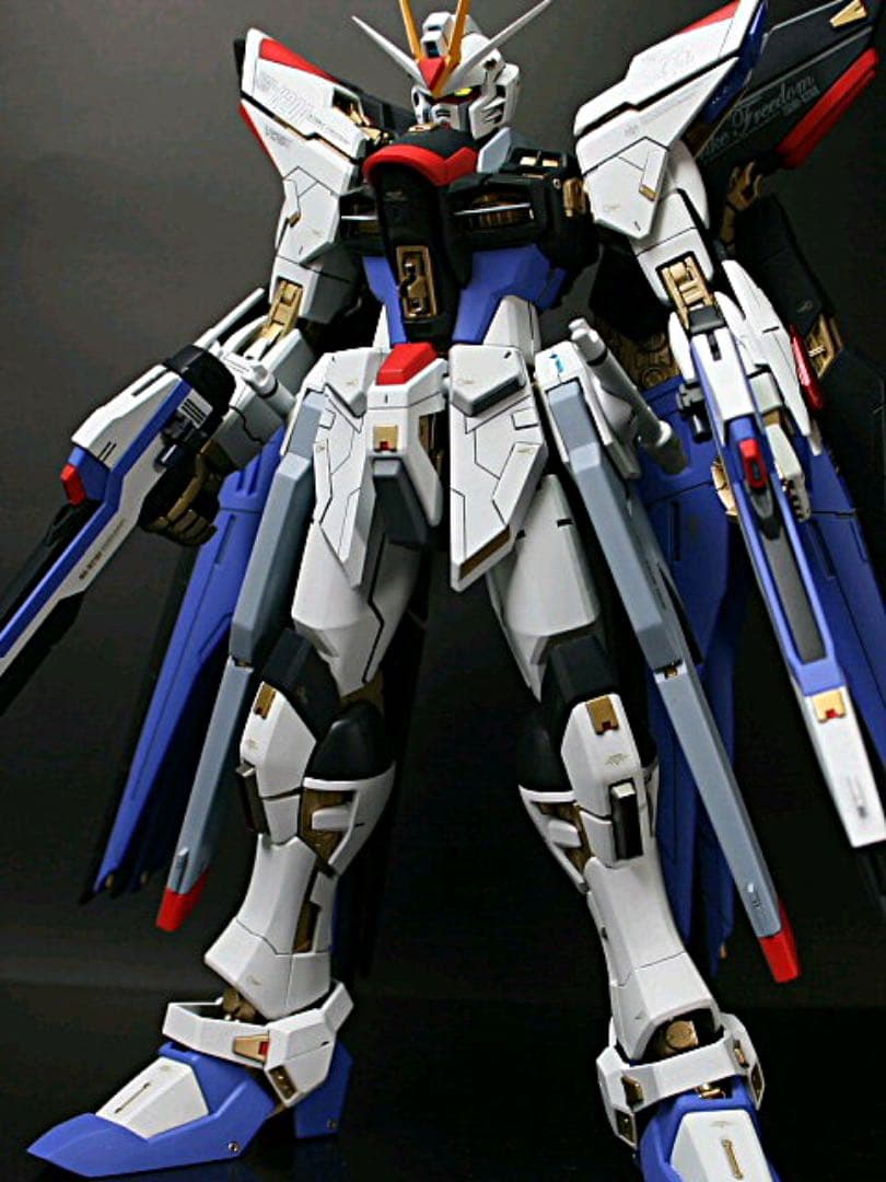 完全改修★ MG1/100 ZGMF-X20Aストライクフリーダム完成品