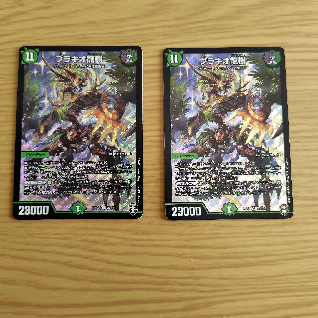 ブラキオ龍樹２枚