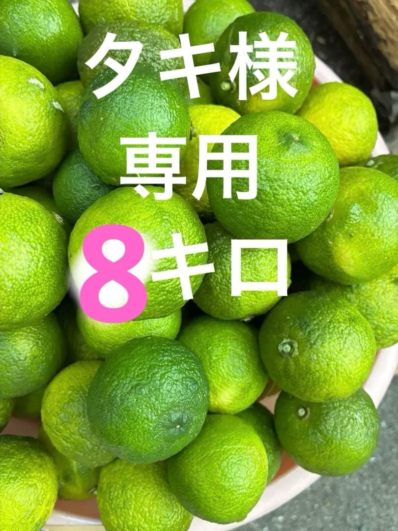 お急ぎください❗️農薬不使用★青柚子　箱込み約5キロ