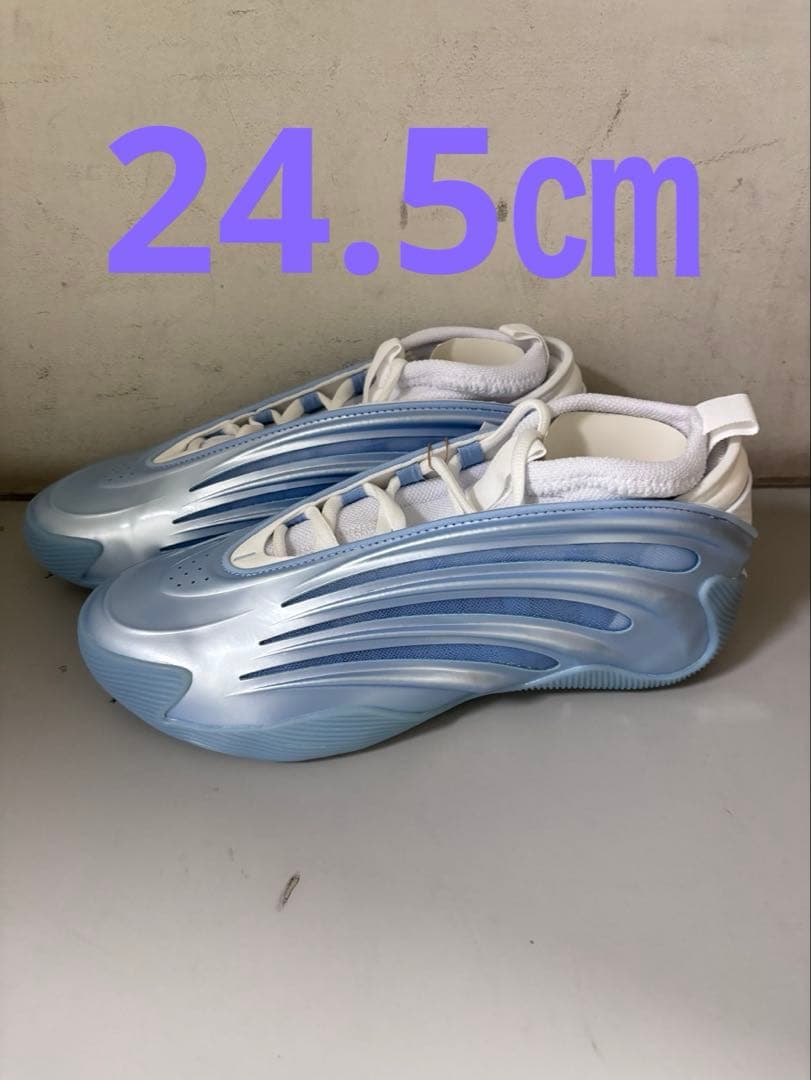 今日のゲリラ価格HARDEN vol.9 24.5㎝