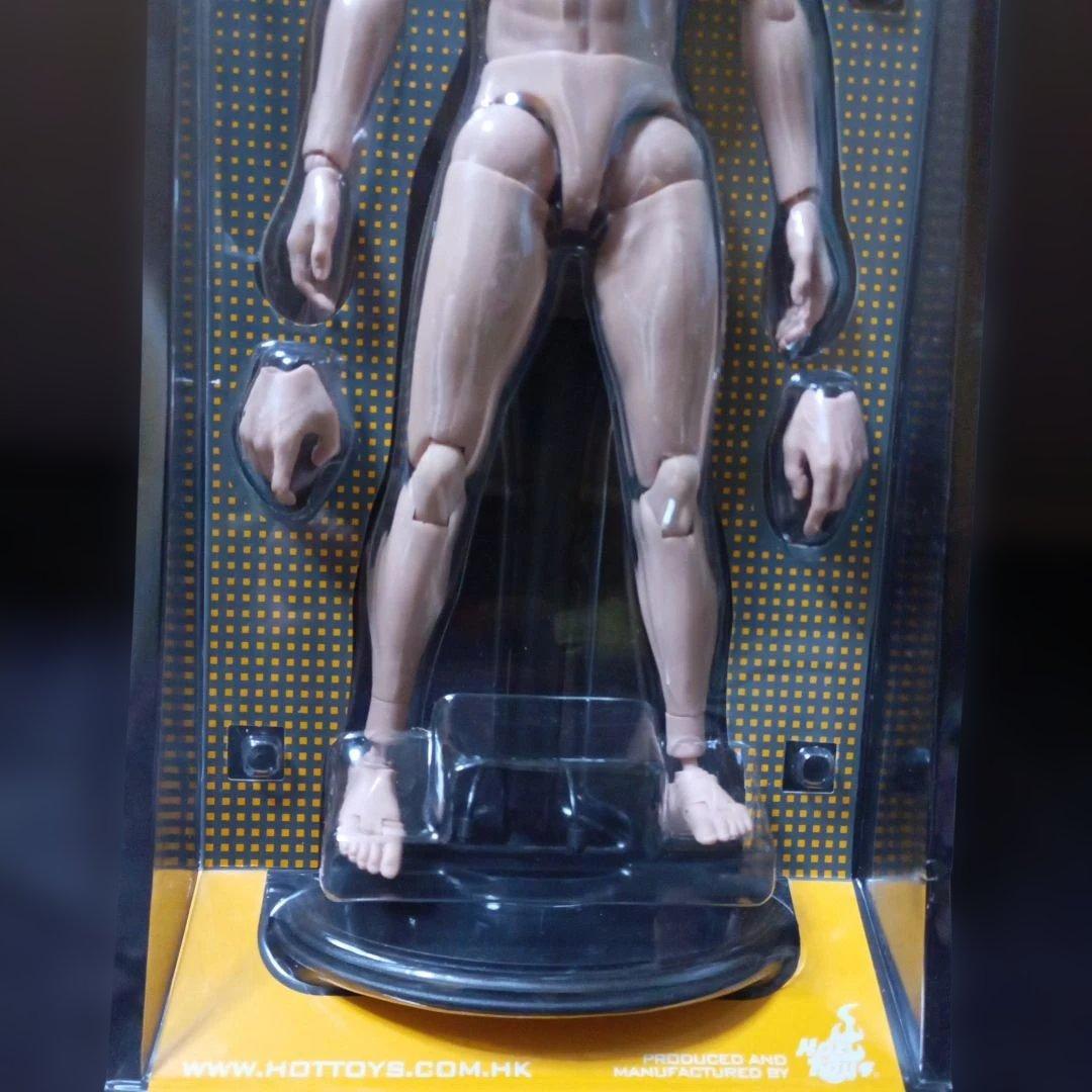 ホットトイズトゥルータイプ1/6 白人男性素体 TTM14 ナローショルダー
