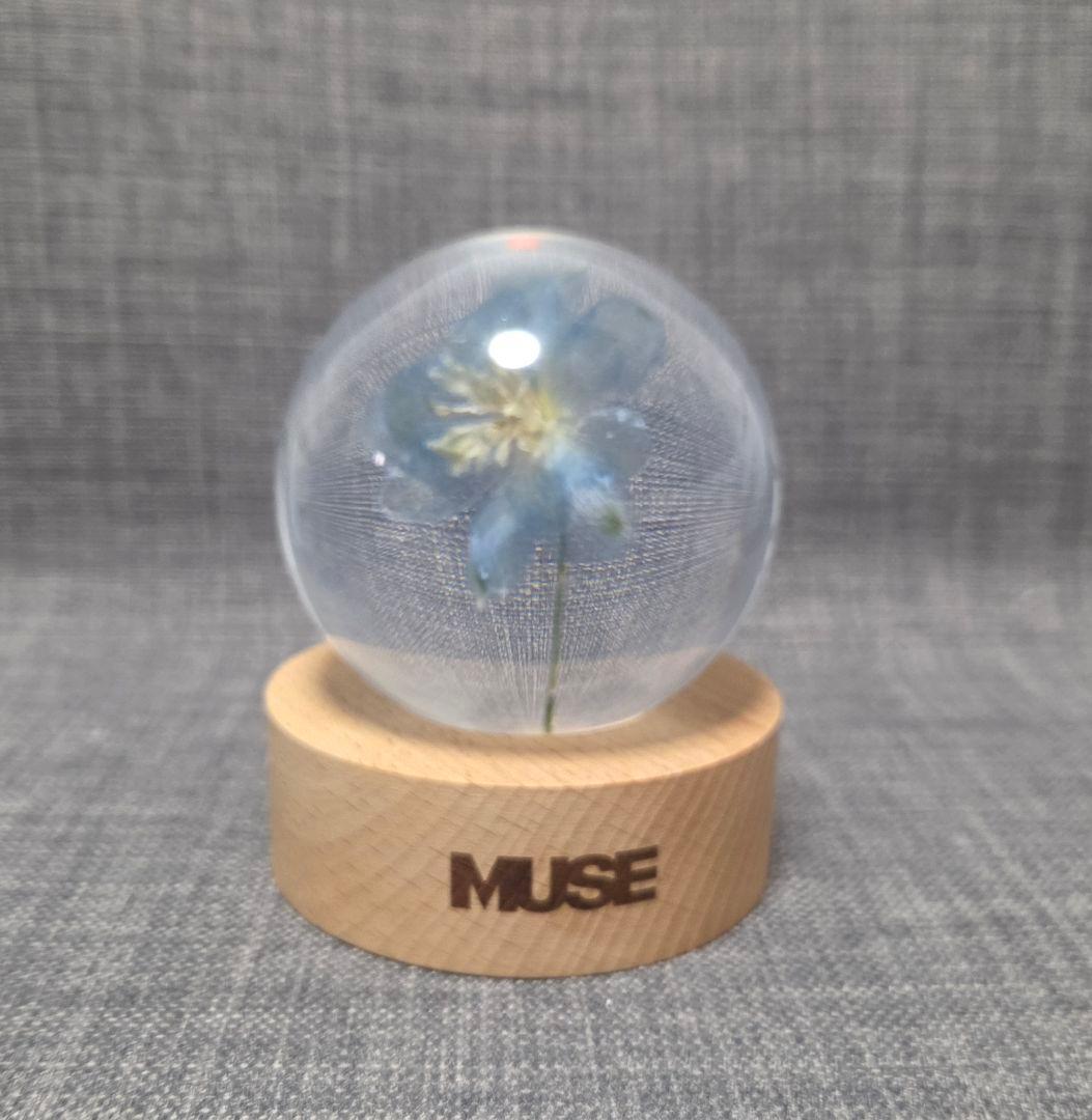 BTS Jimin ジミン MUSE Paper Weight ペーパーウェイト