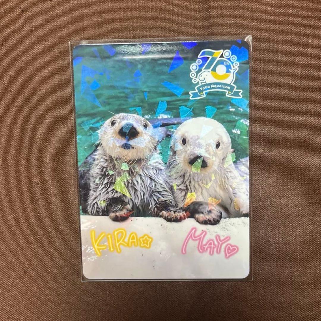 ら*こ様 鳥羽水族館 コレクションカード レア ラッコ