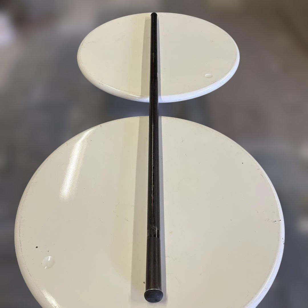 ダイコー　STACIA 51 磯　スティシア タモの柄