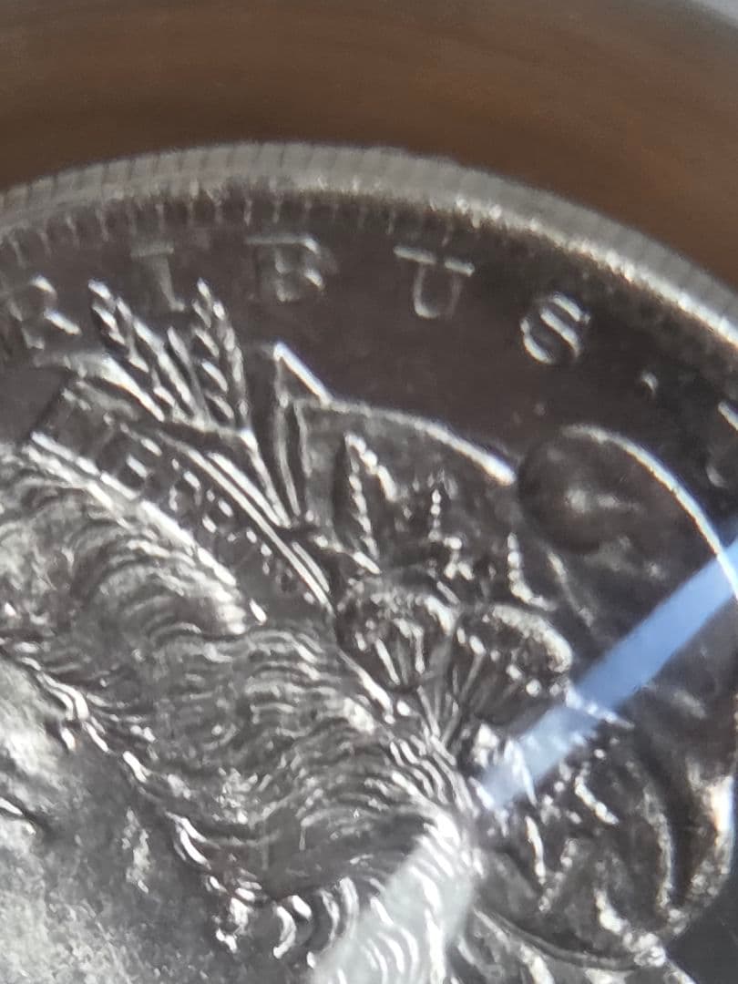 専用(お土産品)モルガンダラー銀貨入り　置き物