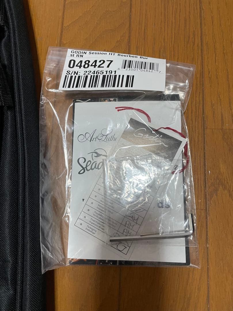 美品　ゴダン　Godin Session HT ストラト